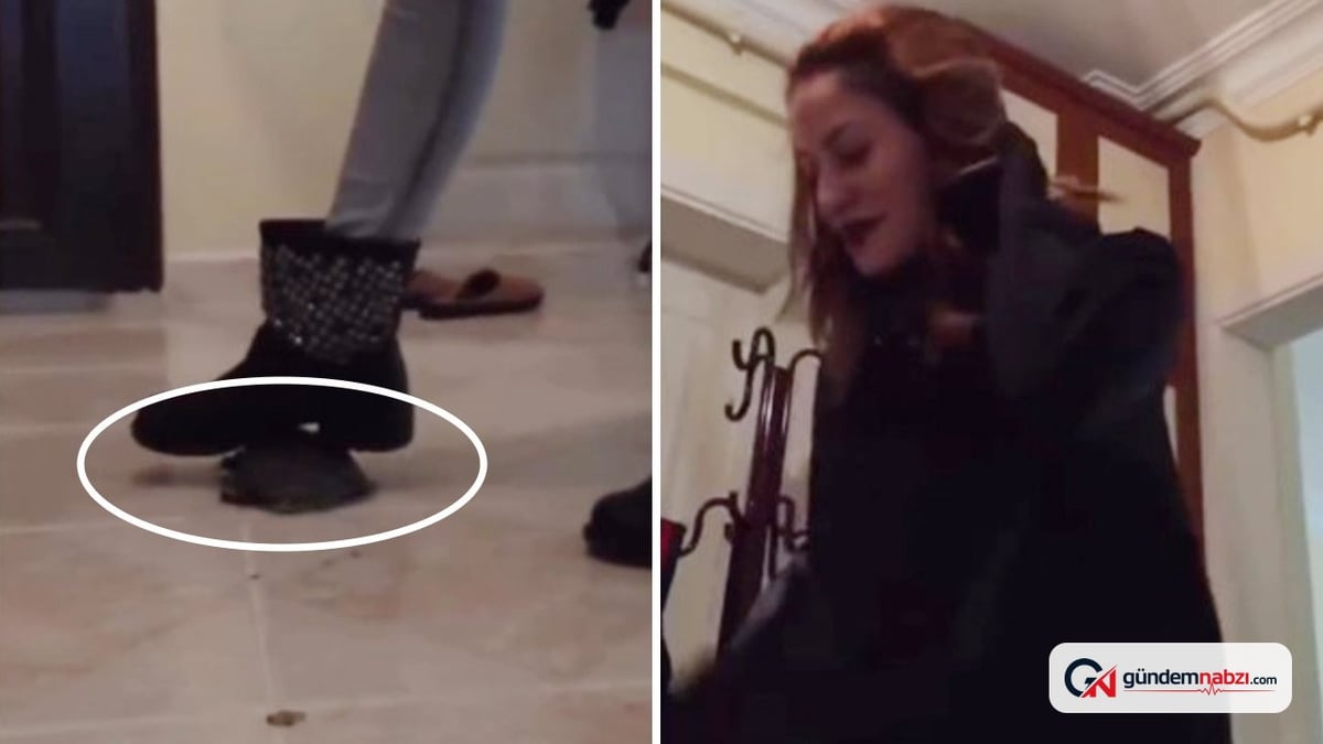 Türkiye'de kaplumbağaya tekme atan kadının videosu tepki çekti