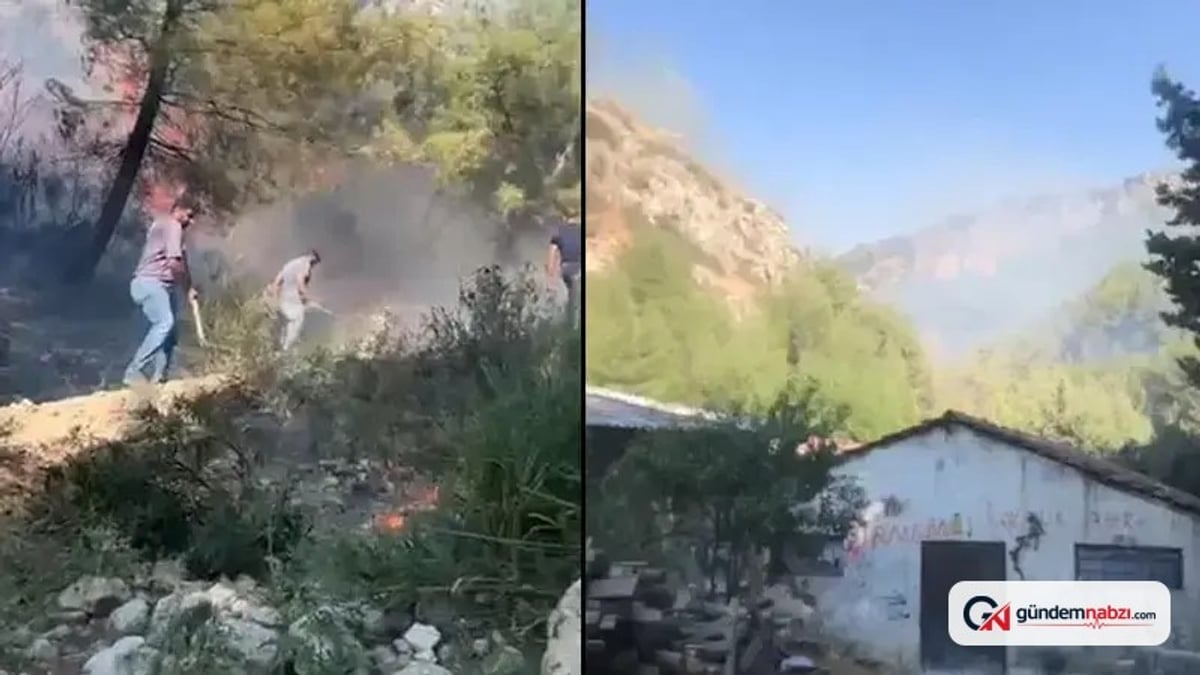 Hatay'da orman yangını başladı