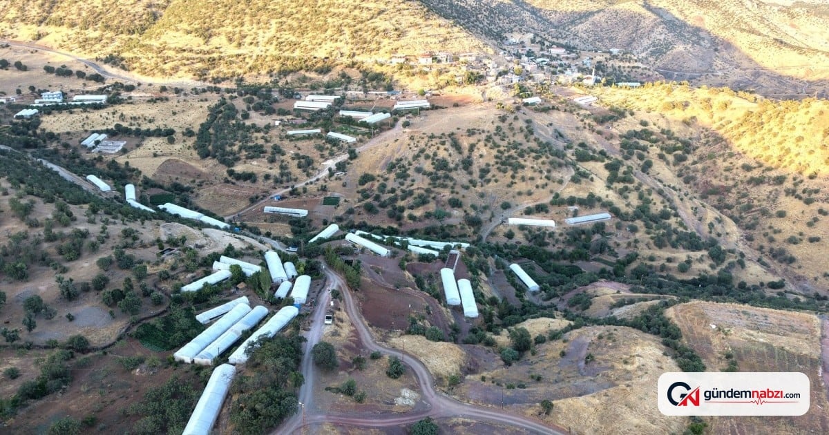 Ulaştı'da sera sayısı 180'e çıktı, köye dönüşler başladı