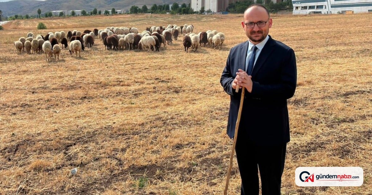 Muş Alparslan Üniversitesi rektöründen koyun fotoğrafına açıklama geldi