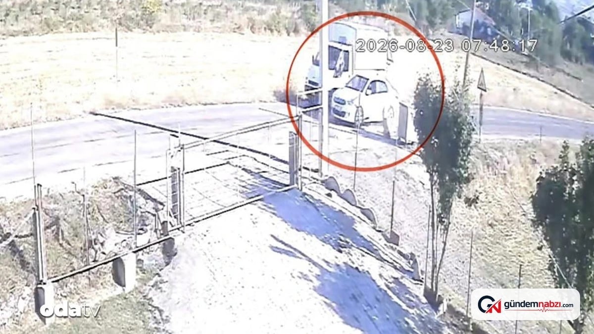 Samsun'da otomobilin çarptığı sokak köpeği telef oldu