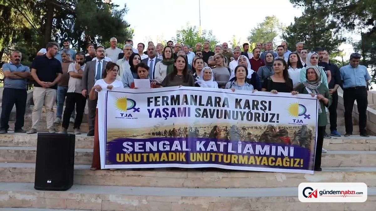 TJA: Şengal'de yaşananlar soykırım ve kadın kırımıdır