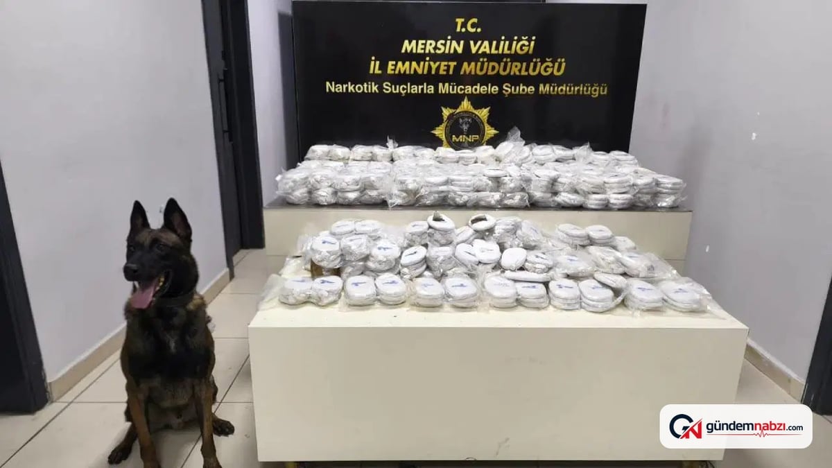 Mersin'de 3,5 kilo kokain ve 122 kilo esrar ele geçirildi