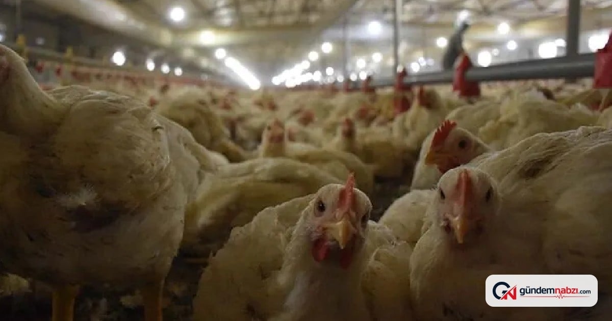Tarım ve Orman Bakanlığı'ndan ambalajlarda gerçeğe aykırı görsel uyarısı