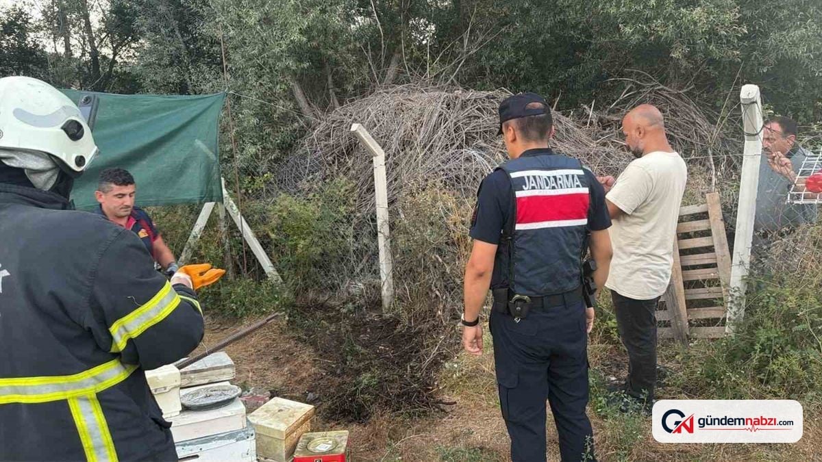 Bilecik'te ot ve çalılık yangını büyümeden söndürüldü