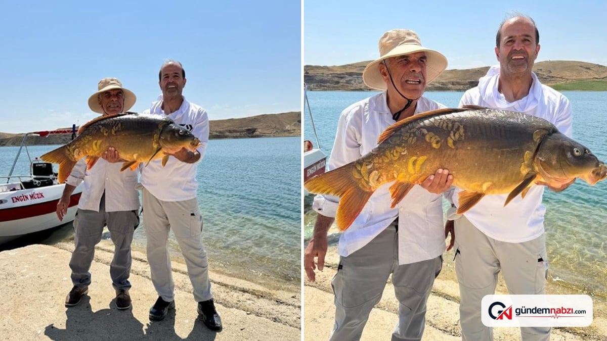 Elazığ'da 27 kiloluk sazan yakalandı