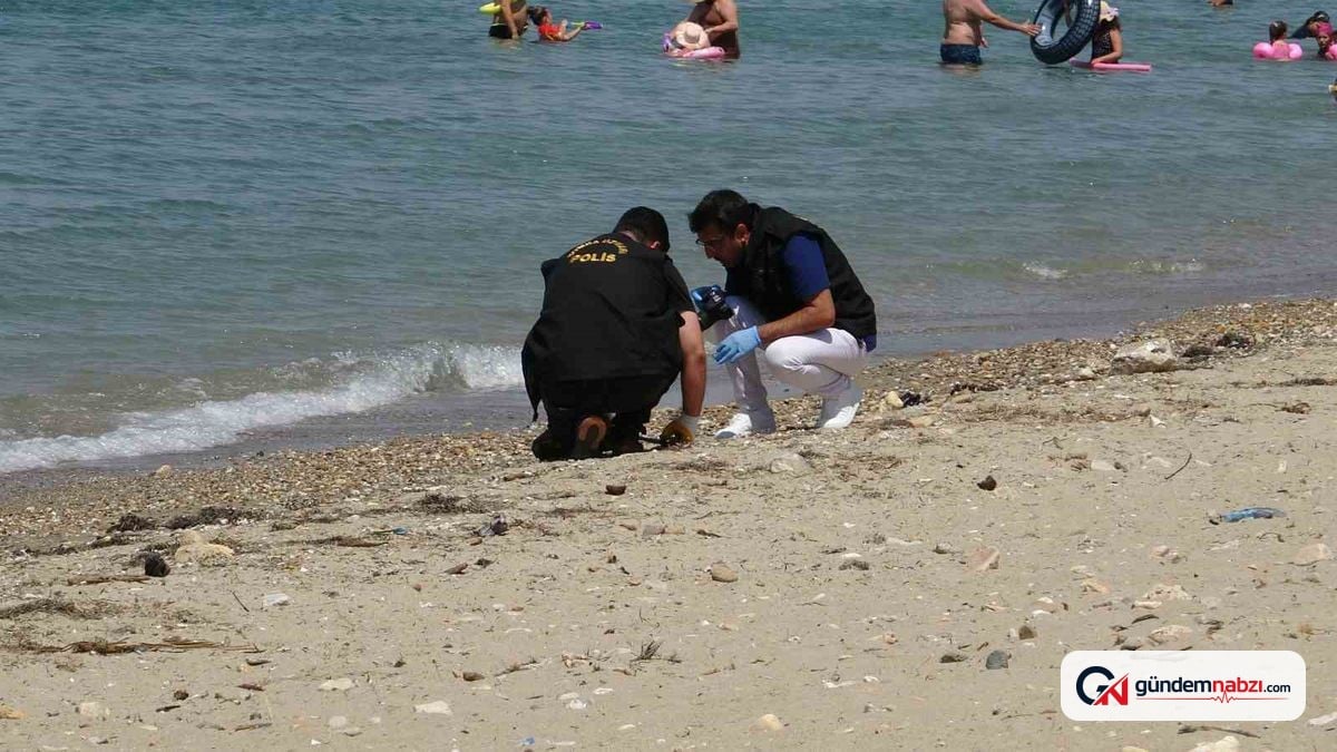 Çanakkale'de plajda tarihi mühimmat bulundu