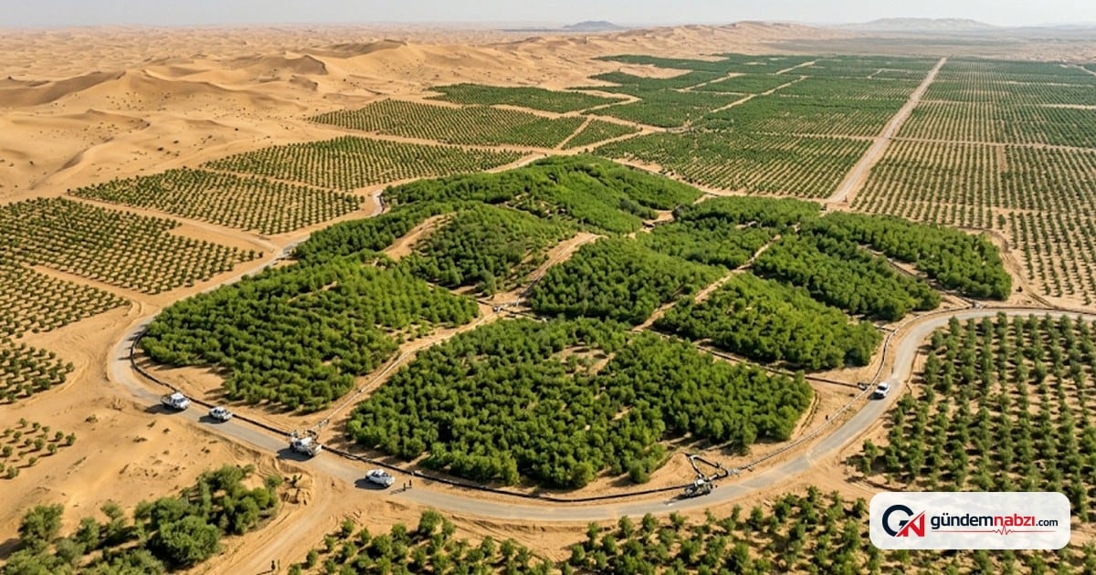 Çin'de dikilen 78 milyar ağaç su dengesini değiştirdi