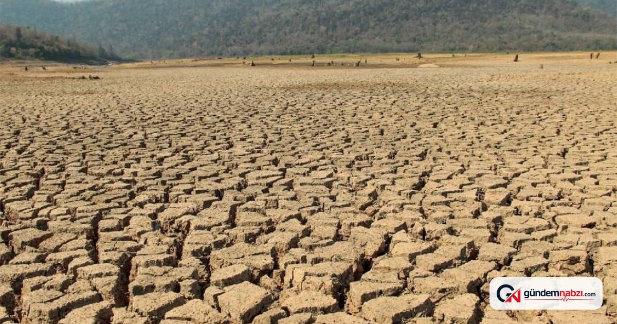 İngiltere'de kuraklık krizi: 27 milyon kişiye su kısıtlaması geldi