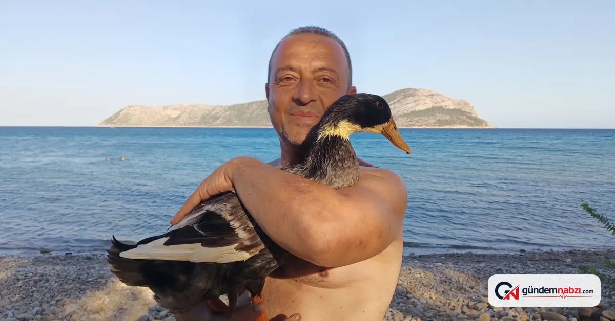 7 yıldır yanından ayırmadığı ördeğiyle tatil yapıyor