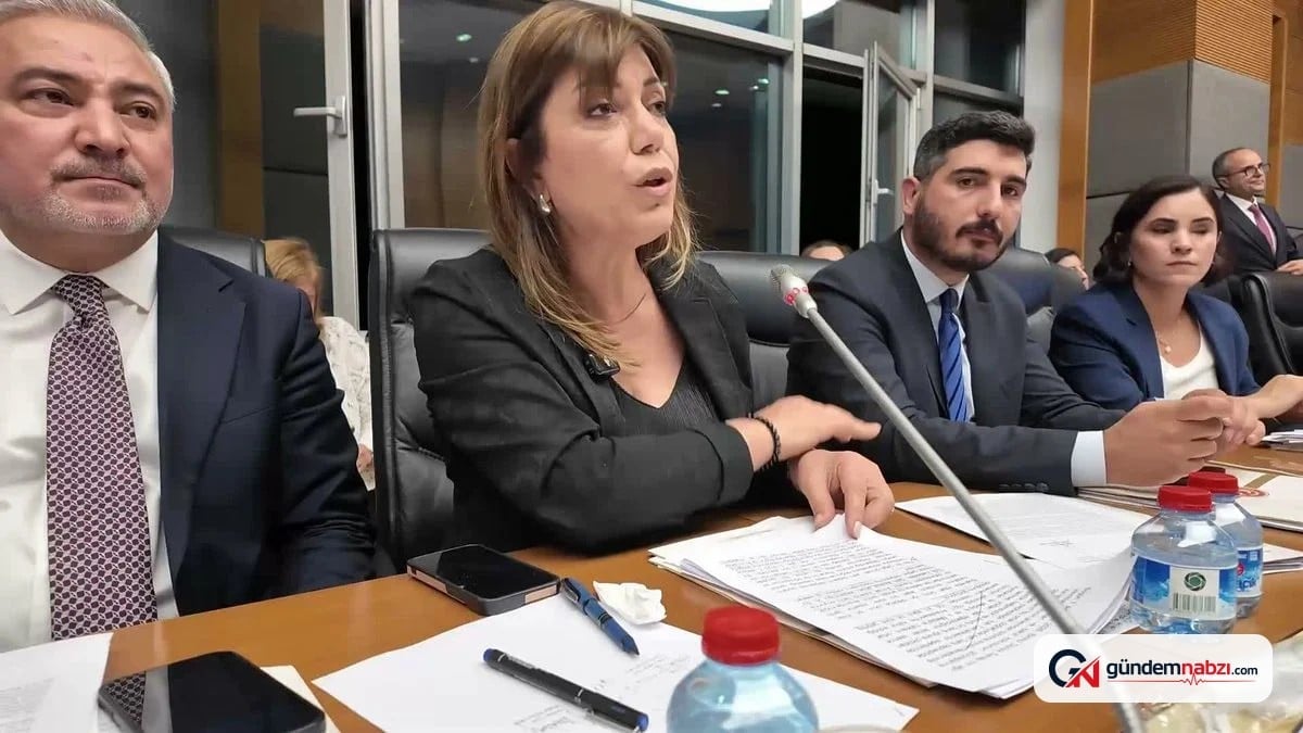 Danış Beştaş: Kürtler artık siyasetin malzemesi olmak istemiyor