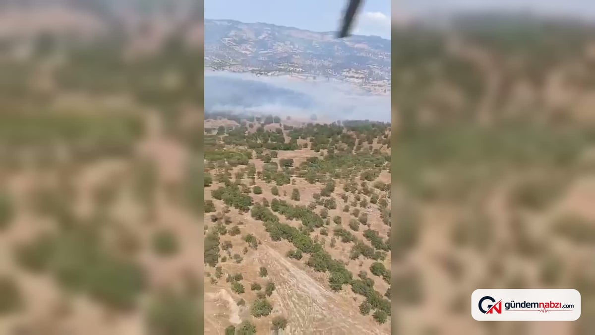Balıkesir Sındırgı'daki orman yangınına müdahale devam ediyor