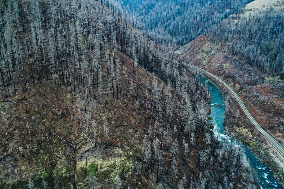 Bursa'nın İnegöl ilçesinde ağaçlık alanda yangın söndürüldü
