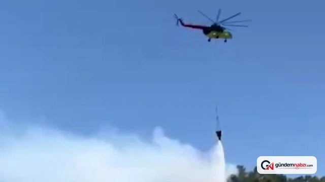Aydın Germencik'te Orman yangını başladı
