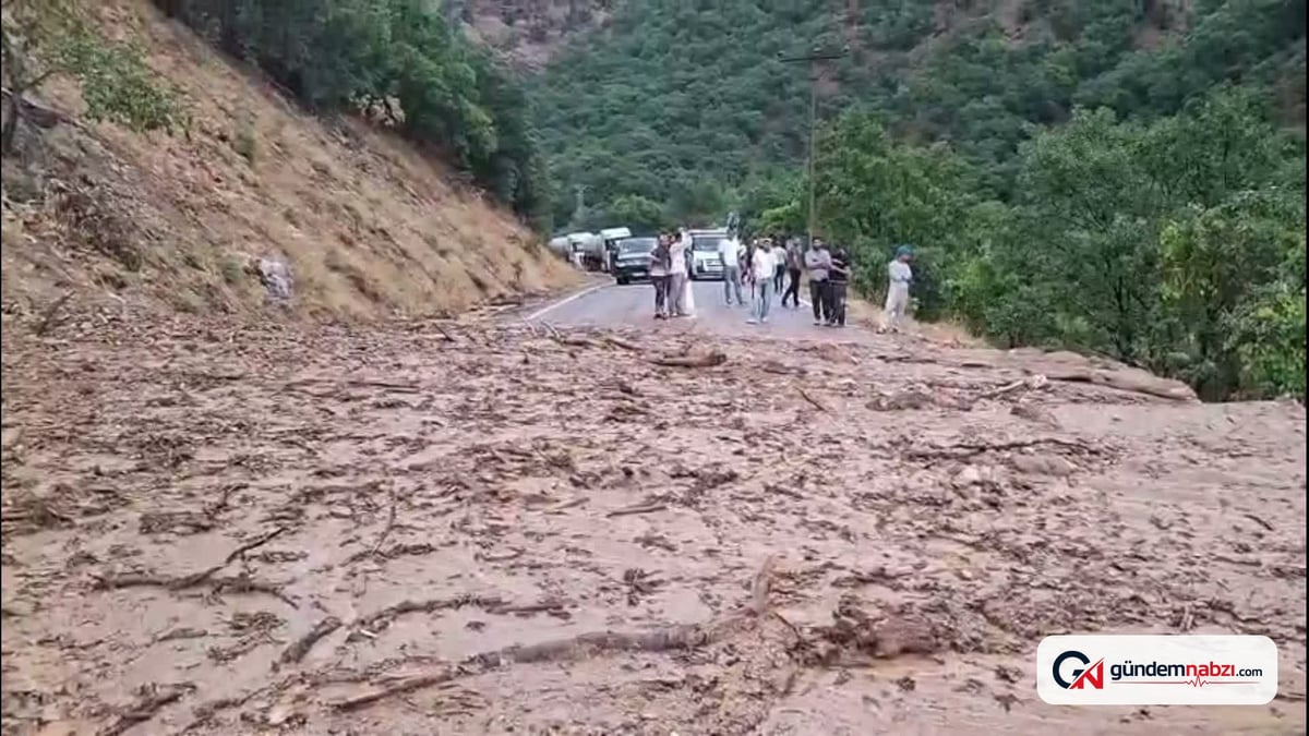 Tunceli'de sağanak yağış heyelanlara yol açtı