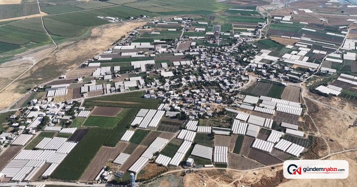 Batman'da seracılıkla göçü tersine çevirdiler: Yılda 650 milyon lira kazanç