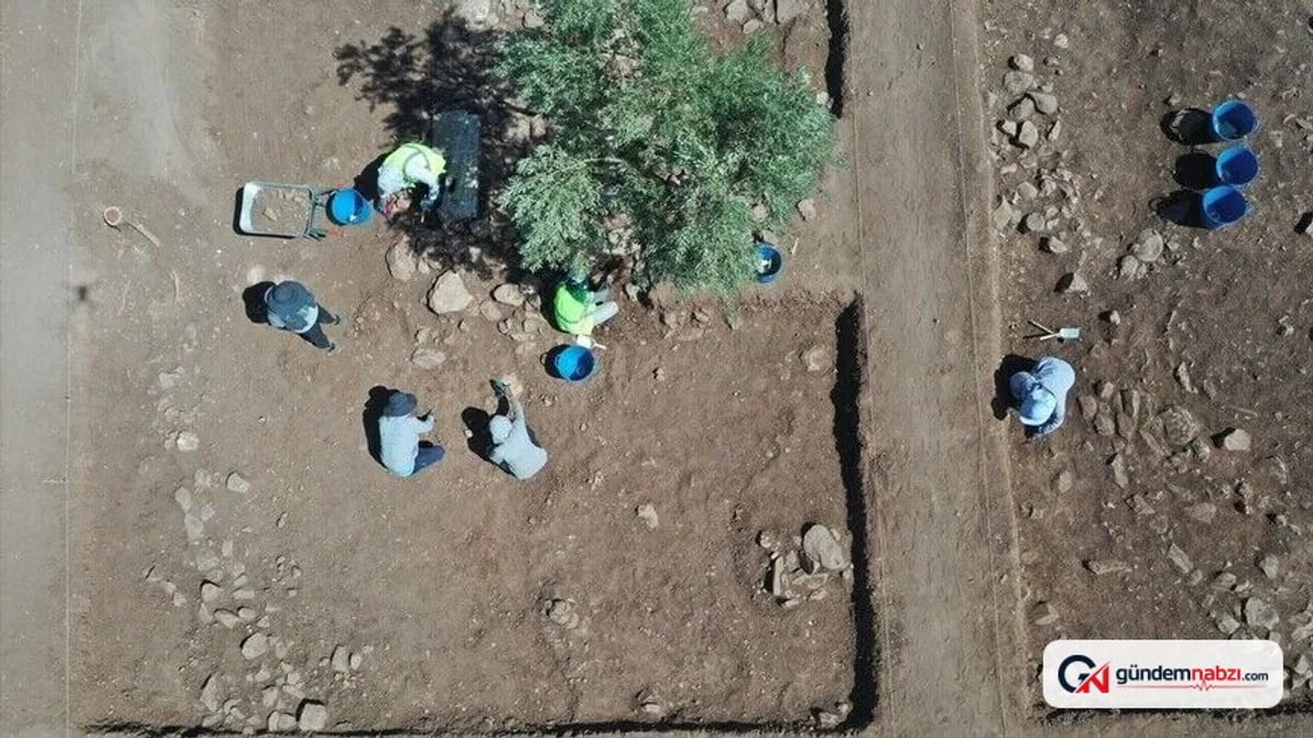Çinli arkeologlar Şanlıurfa'daki Yoğunburç'ta Neolitik izini sürüyor