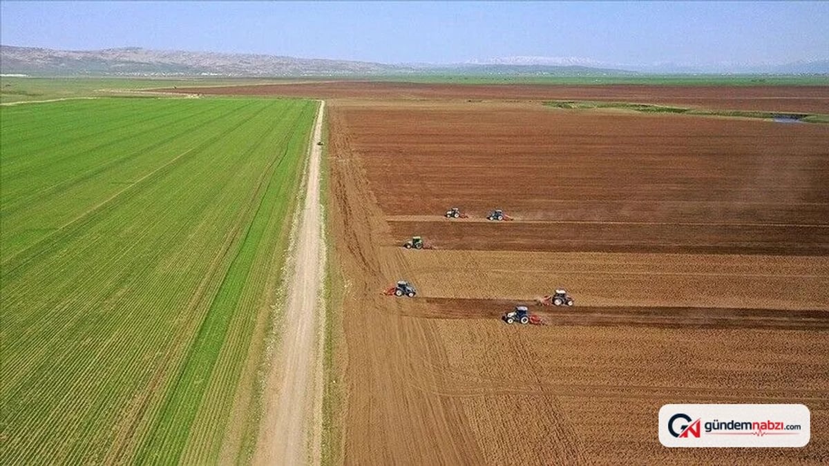Tarım-GFE Haziranda yıllık yüzde 32,06 arttı, aylık yüzde 0,92 azaldı