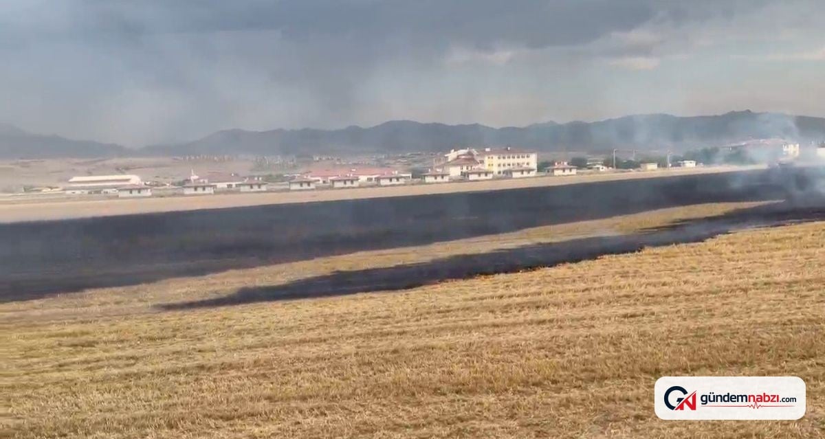 Elazığ Kovancılar'da anız yangını kontrol altına alındı