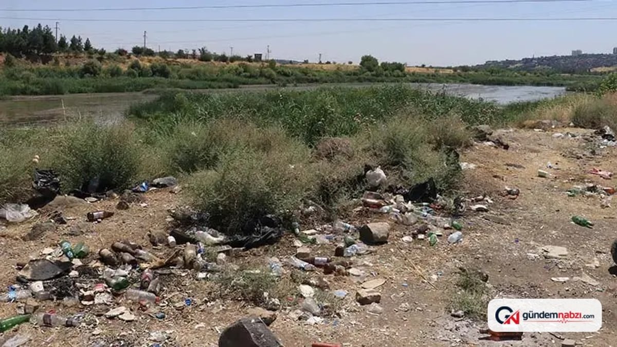 Dicle Vadisi'nde piknik kirliliği insan ve yaban hayatını tehdit ediyor