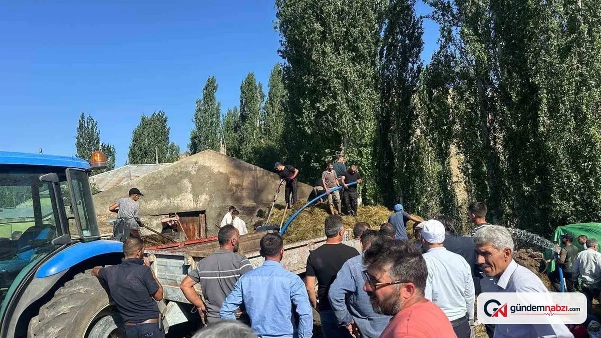 Sarıkamış'ta 800 balya ot yandı