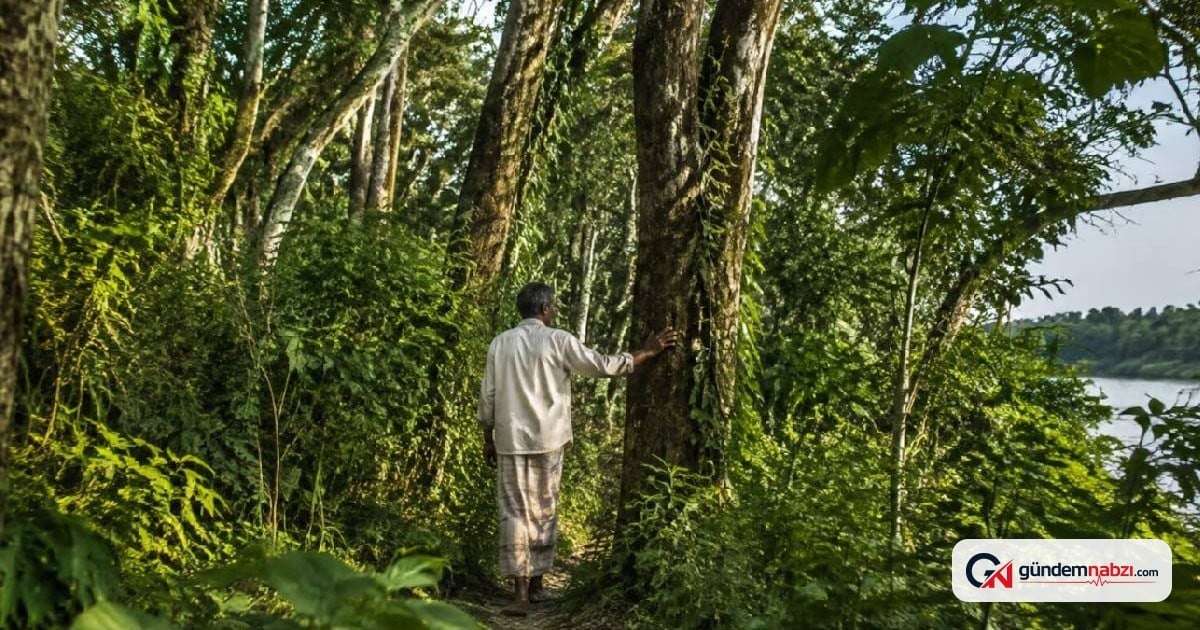 Jadav Payeng tek başına 550 hektarlık orman yarattı