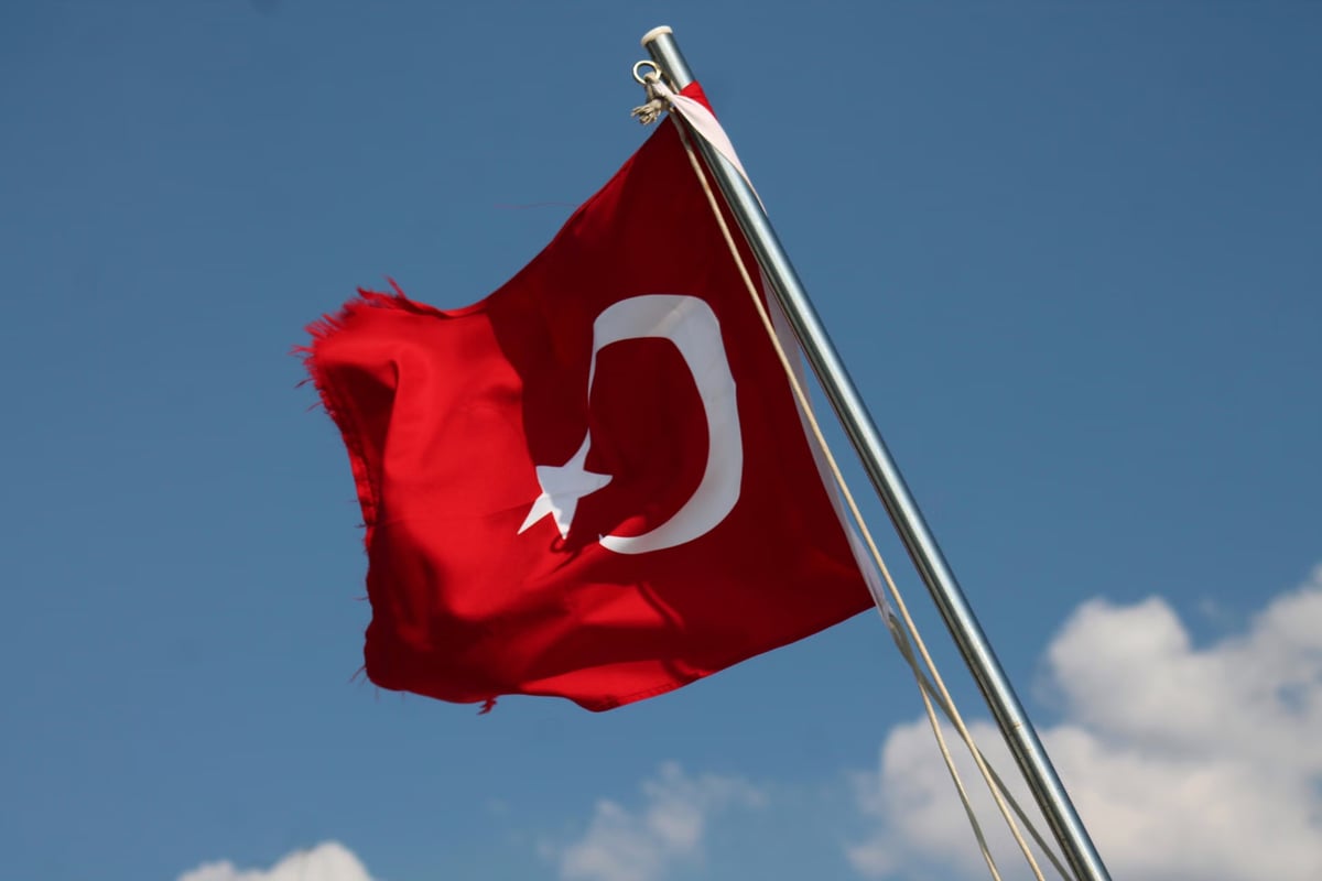 Vatandaşlık şebekesine operasyon: 72 şüpheli yakalandı