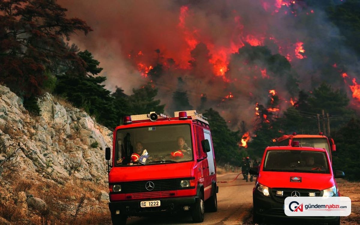 Yunanistan'daki büyük orman yangınının çıkış nedeni araştırılıyor