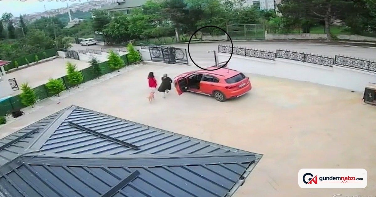 Korgan'da otomobil köpeğe çarptı, 10 yaşındaki Gülizar bayıldı
