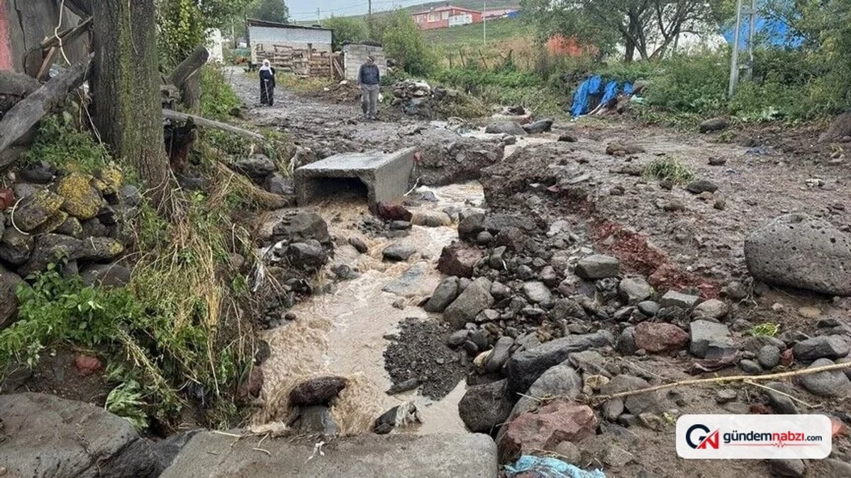 Ardahan'da sağanak ve dolu hasara yol açtı
