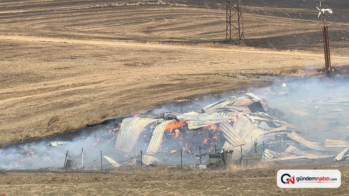 Tekirdağ'da çıkan anız yangını, baraka ve konteynerlere sıçradı