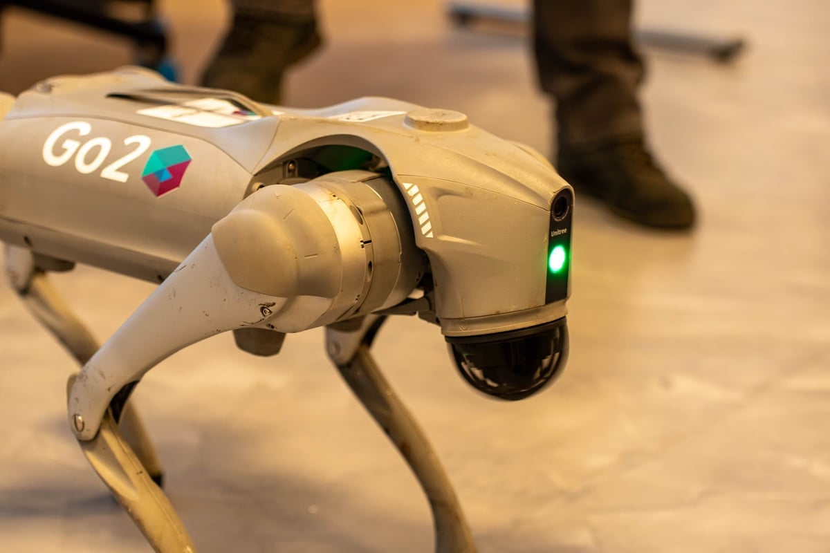 Çin'in Ay planında robot köpekler görev alacak