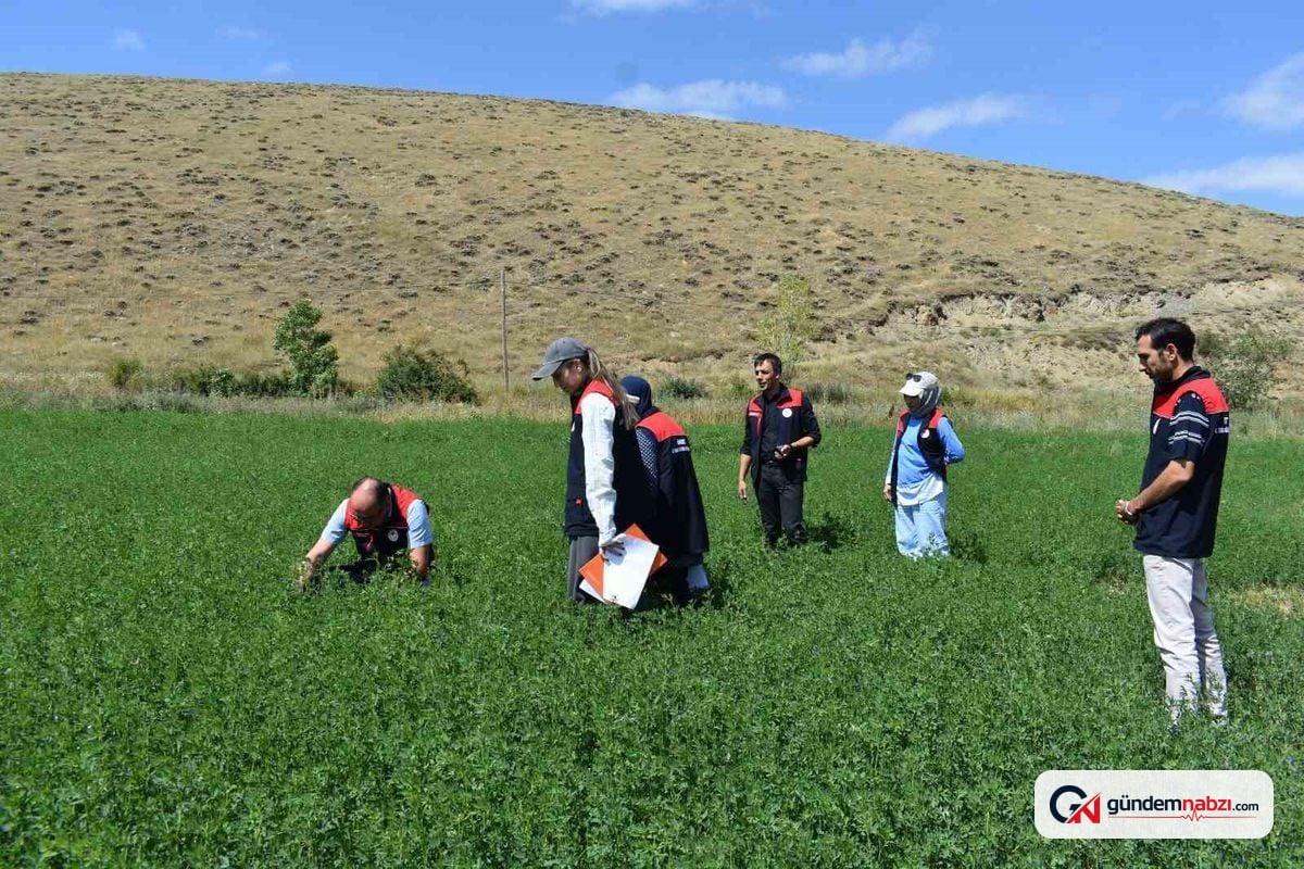 Bayburt'ta Tarım arazilerinde üretim planlaması kontrolleri sürüyor