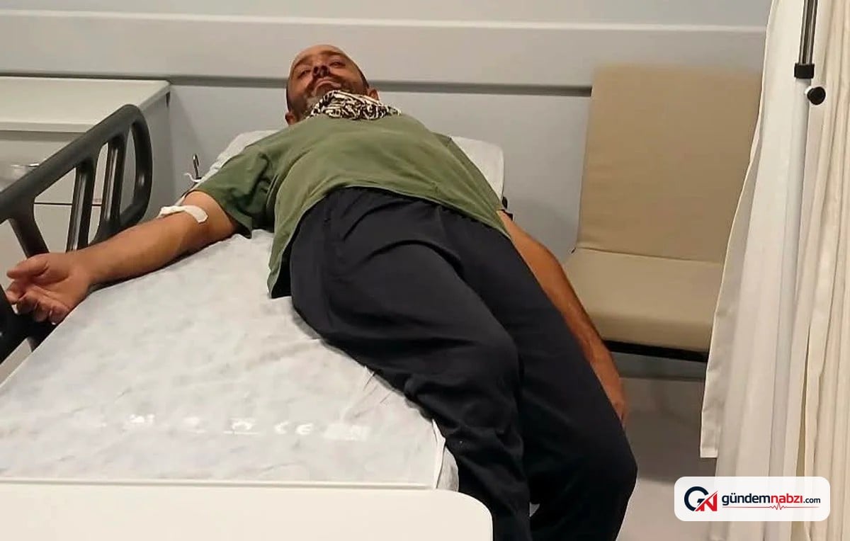 Ovacık'ta ayıdan kaçarken kayalıklardan düşen kişi yaralandı