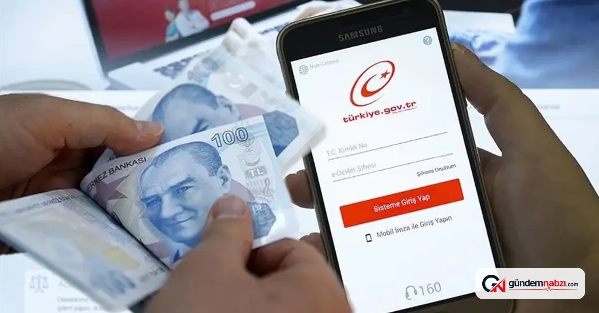 E-Devlet üzerinden unutulan para sorgulama dönemi başladı