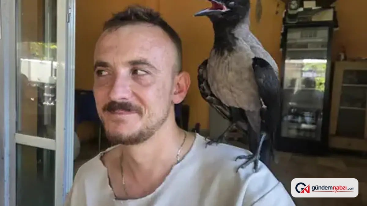 Bursa'da yaralı bulup iyileştirdiği kargonun peşini bırakmadığı genç, kuşa 'Ceksın' adını verdi