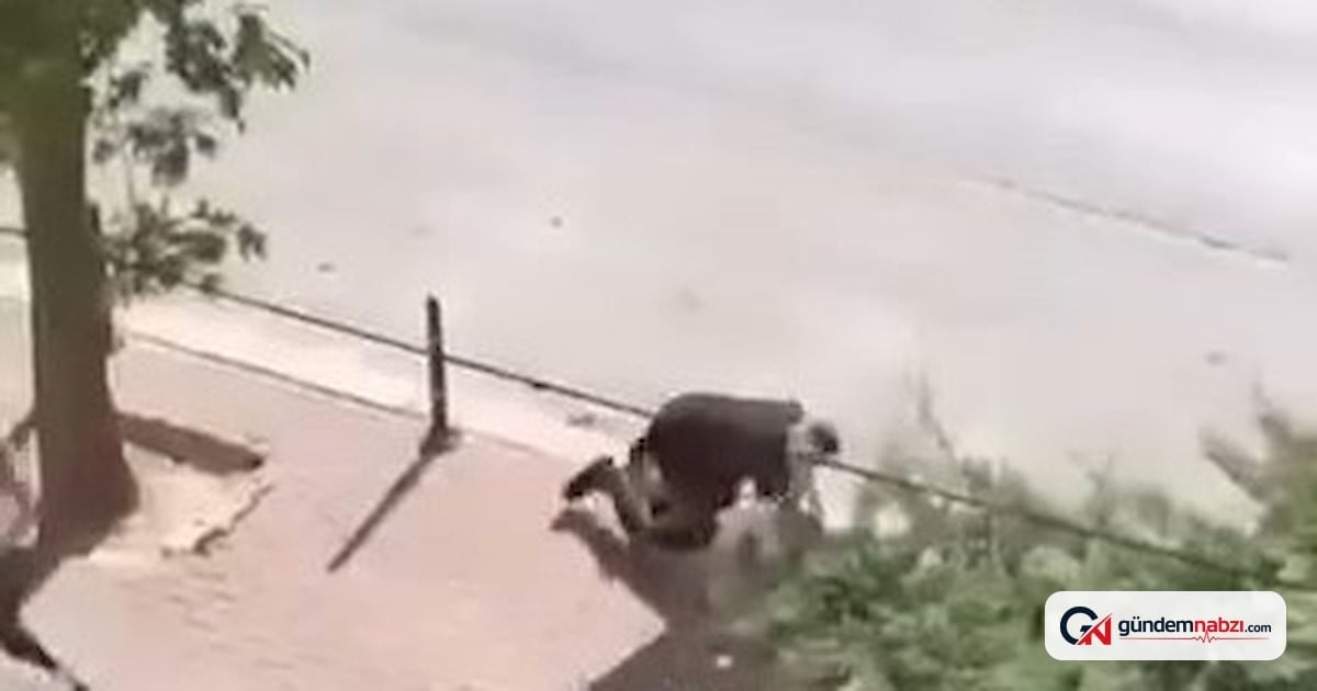 Konya'da Husumetlisini bıçaklayan şüpheli yakalandı