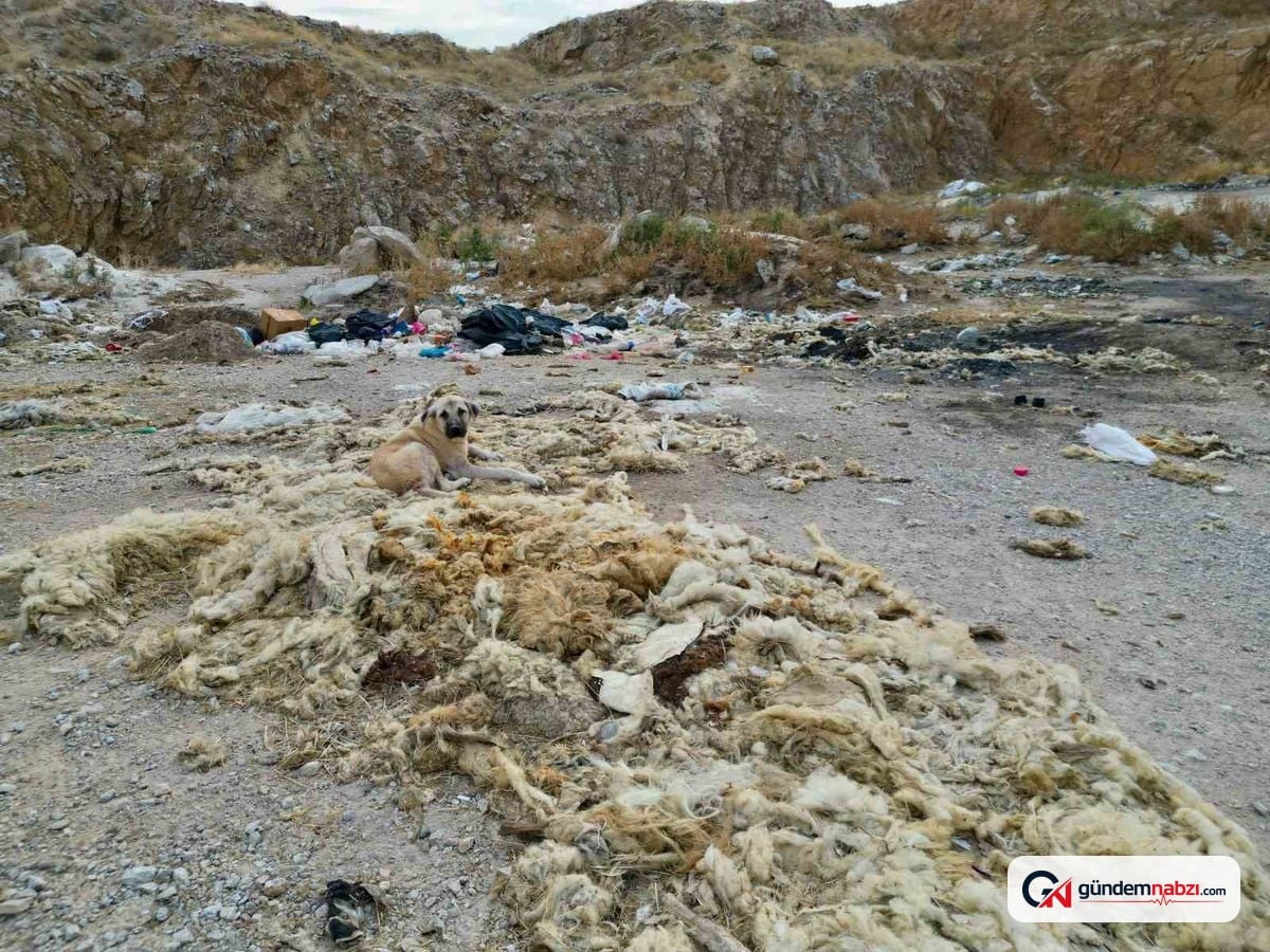 Afyonkarahisar Bolvadin'deki eski kum ocağı atık çöplüğüne döndü