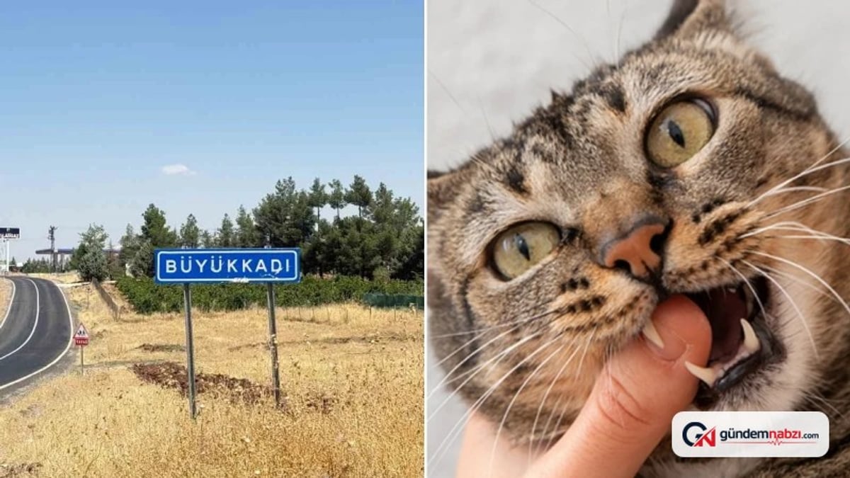 Diyarbakır'da kuduz vakası: 4 yaşındaki çocuk entübe edildi