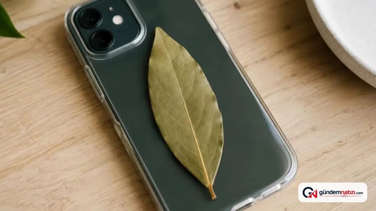 Telefon kılıfında defne yaprağı saklama trendi artıyor