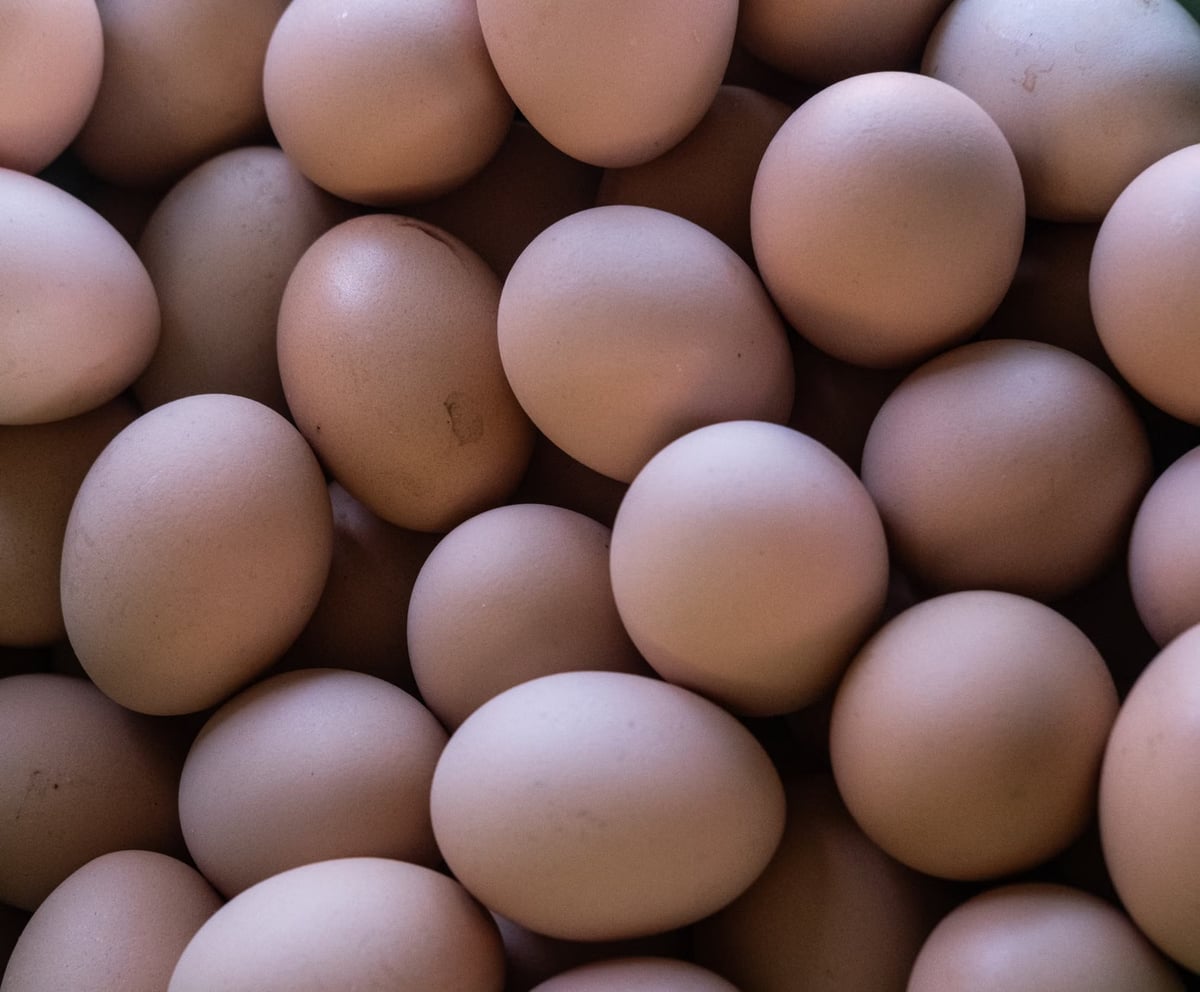 Salmonella salgını nedeniyle 1,5 milyon koli yumurta geri çağrıldı