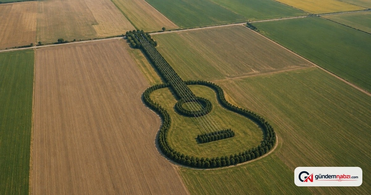 7 bin ağaç dikerek dev gitar yaptı, hikayesi duygulandırıyor