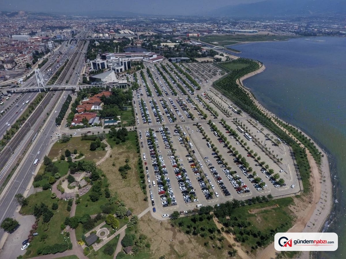 İzmit Körfezi'nde deniz canlıları yeniden görüldü