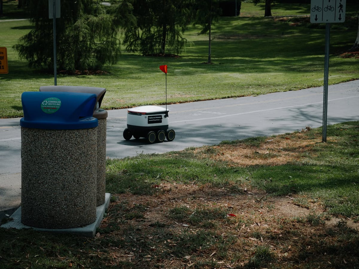 Pekin'de parklara yaz aylarında 72 robot yerleştirildi