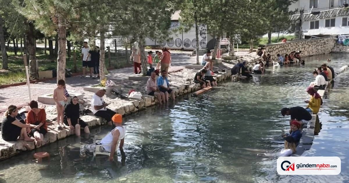 Sivas Kangal Balıklı kaplıcası küresel marka oluyor