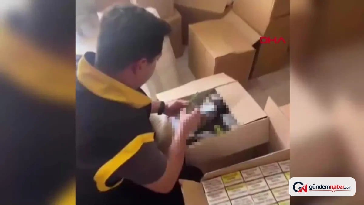 Pendik'te düzenlenen operasyonda 440 kilogram kaçak tütün ele geçirildi