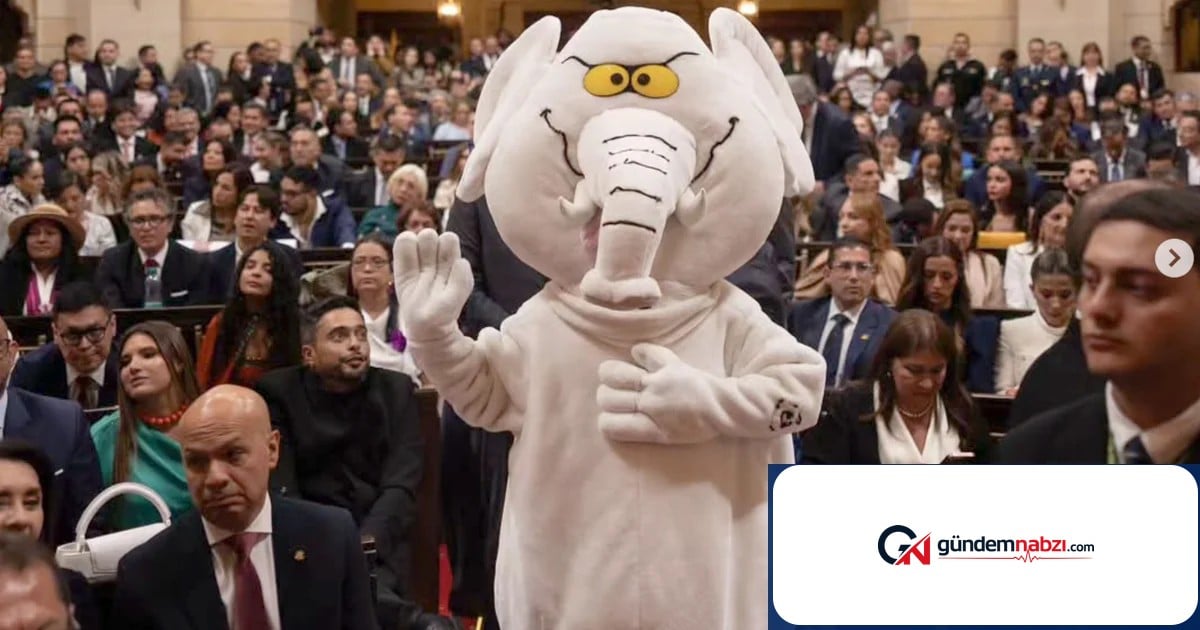 Kolombiya'da fil kostümlü anti-yolsuzluk aktivisti senatör oldu
