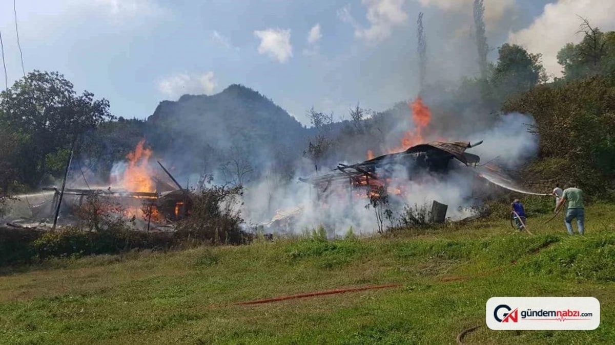 Artvin Şavşat'ta yangın çıktı, 4 hane zarar gördü