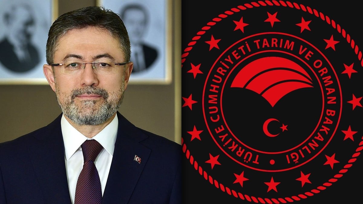 Kahverengi kokarca zararlısına karşı 1 milyon 650 bin samuray arısı salındı
