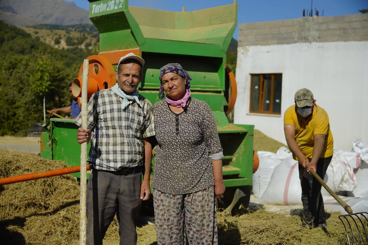 Samsun Bafra'da fındık işçilik ücreti 2 bin lira olarak belirlendi